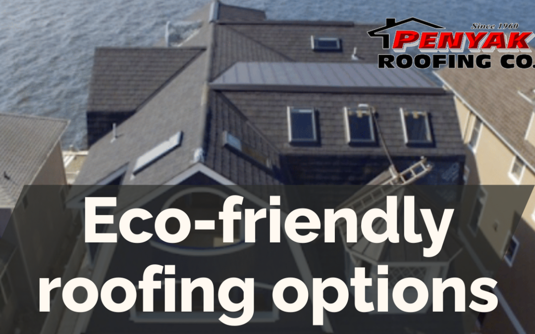 Eco-friendly roofing options